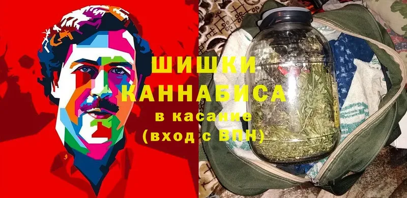 Бошки марихуана Amnesia  где найти   Ангарск 